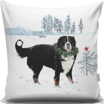 Perna, A12998, 43x43 cm, 50% bumbac / 50% poliester, Multicolor